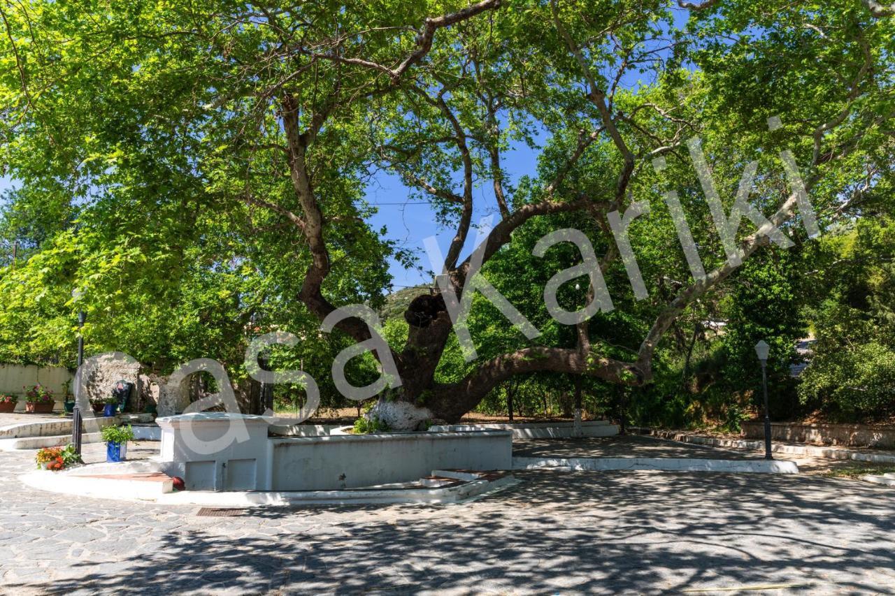 Casa Kariki - Traditional House In Psinthos Βίλα Εξωτερικό φωτογραφία